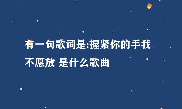 有一句歌词是:握紧你的手我不愿放 是什么歌曲