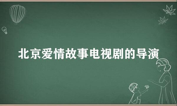 北京爱情故事电视剧的导演