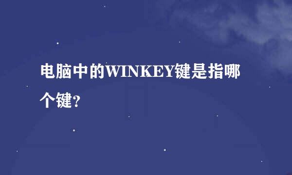 电脑中的WINKEY键是指哪个键？