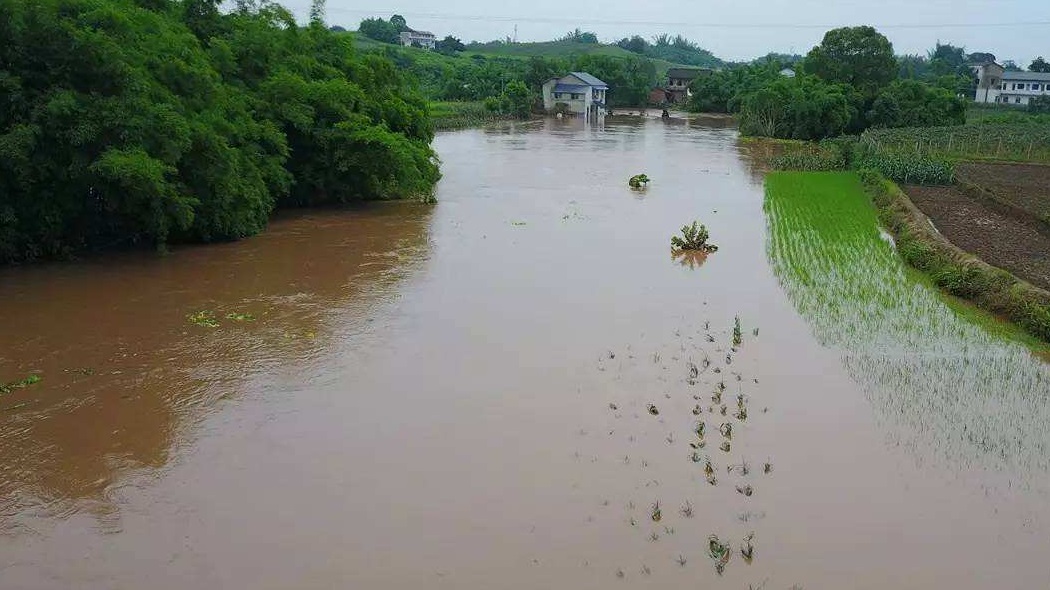 南方还将有4轮强降雨，多地汛情该如何解决？