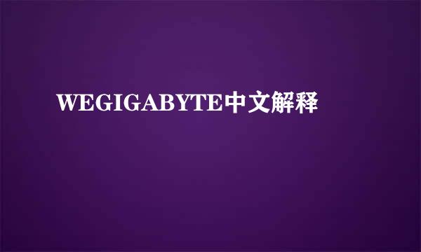 WEGIGABYTE中文解释