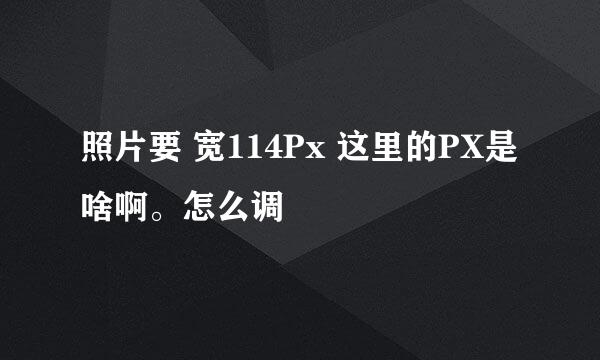 照片要 宽114Px 这里的PX是啥啊。怎么调