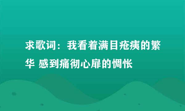 求歌词：我看着满目疮痍的繁华 感到痛彻心扉的惆怅