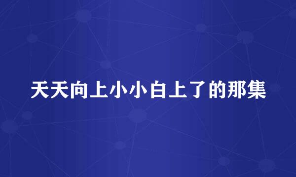 天天向上小小白上了的那集