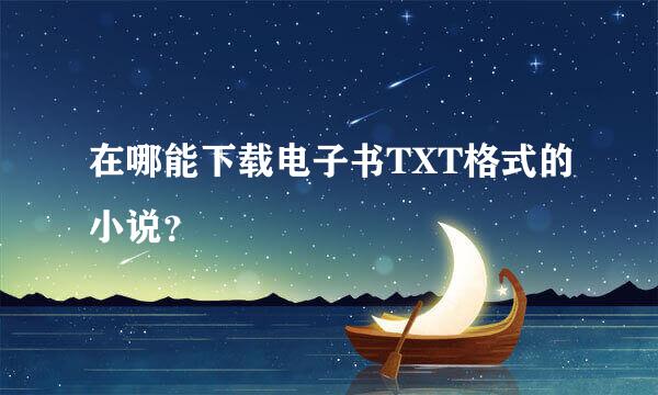 在哪能下载电子书TXT格式的小说？