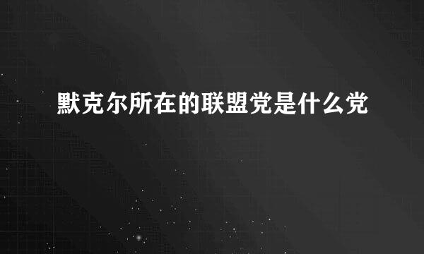 默克尔所在的联盟党是什么党