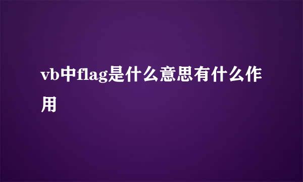 vb中flag是什么意思有什么作用