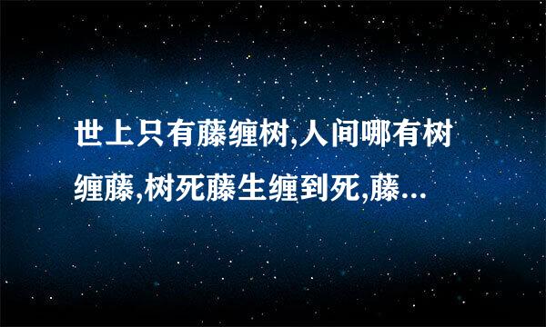 世上只有藤缠树,人间哪有树缠藤,树死藤生缠到死,藤死树生死也缠.