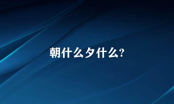 朝什么夕什么?