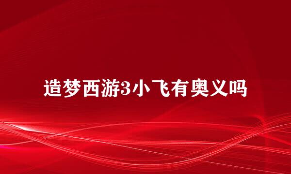 造梦西游3小飞有奥义吗