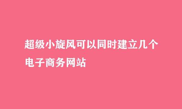 超级小旋风可以同时建立几个电子商务网站