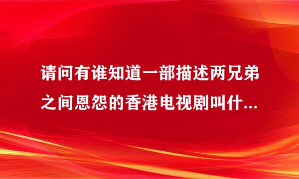 请问有谁知道一部描述两兄弟之间恩怨的香港电视剧叫什么名字？