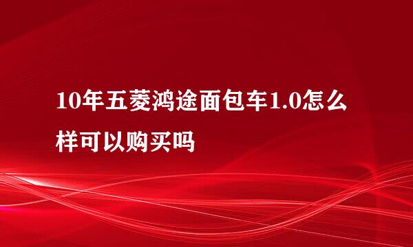 10年五菱鸿途面包车1.0怎么样可以购买吗