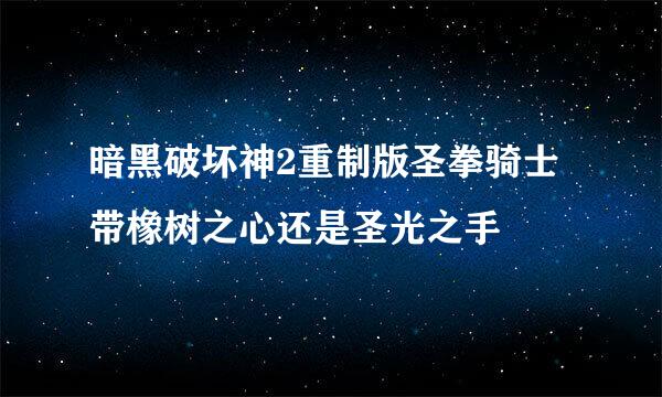 暗黑破坏神2重制版圣拳骑士带橡树之心还是圣光之手