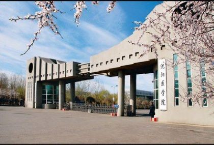 沈阳医学院在哪