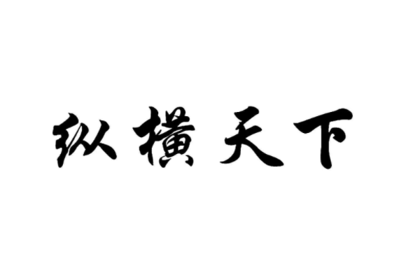 纵横天下什么意思