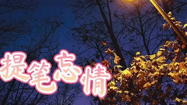 我也渴望有人疼有人懂是什么歌曲