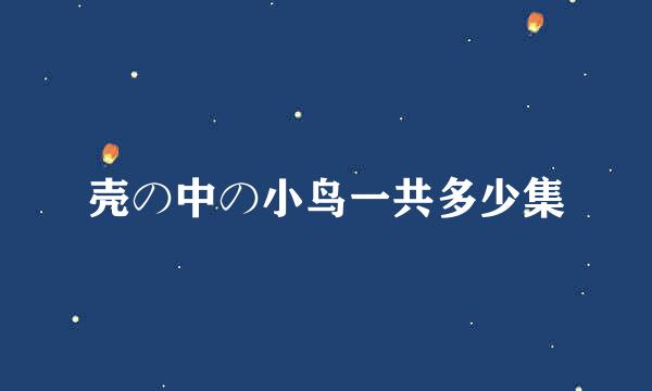 壳の中の小鸟一共多少集