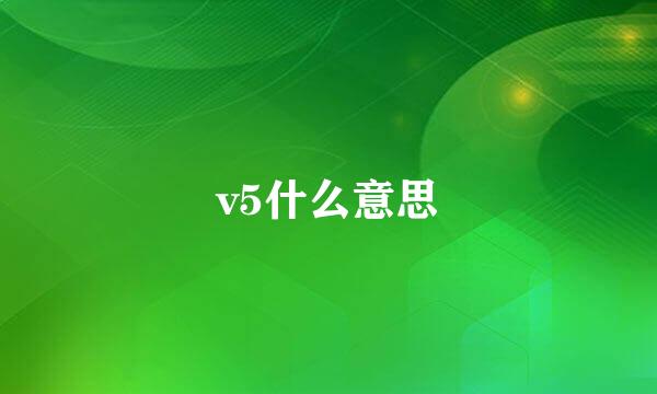 v5什么意思