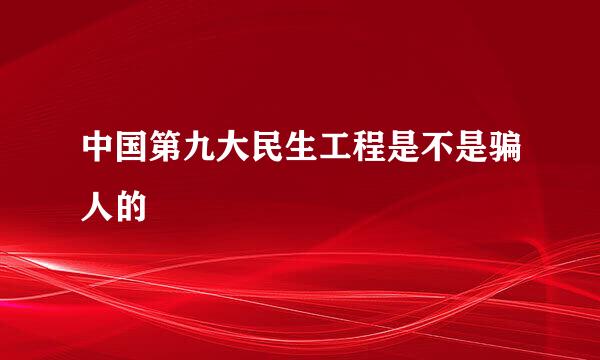 中国第九大民生工程是不是骗人的