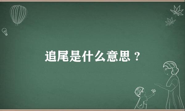 追尾是什么意思 ?