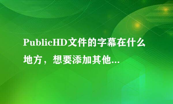 PublicHD文件的字幕在什么地方，想要添加其他字幕在这个文件夹内，该如何添加