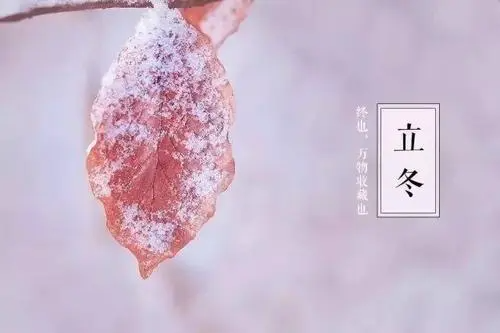 立冬下雪有什么说法?