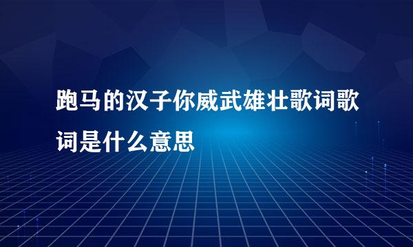 跑马的汉子你威武雄壮歌词歌词是什么意思