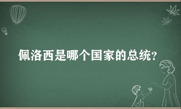 佩洛西是哪个国家的总统？