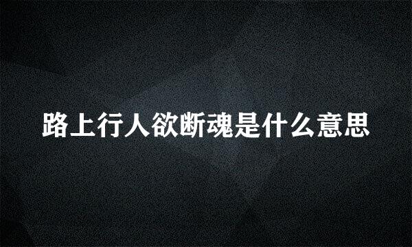 路上行人欲断魂是什么意思