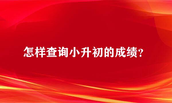 怎样查询小升初的成绩？