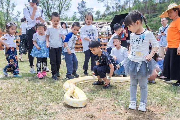 巨大黄金蟒盘踞车尾，摔下车后被高速公路养护员救走，它为何会出现在这里？