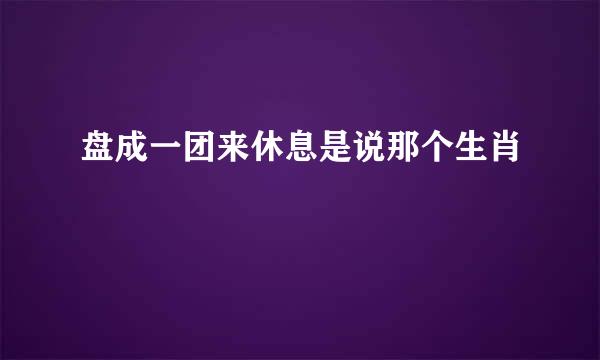 盘成一团来休息是说那个生肖