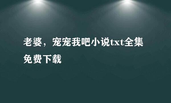 老婆，宠宠我吧小说txt全集免费下载