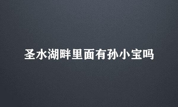 圣水湖畔里面有孙小宝吗