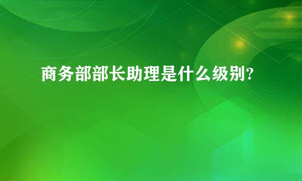 商务部部长助理是什么级别?