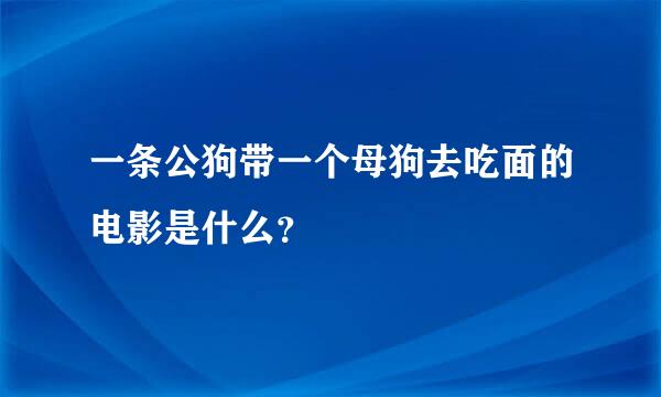 一条公狗带一个母狗去吃面的电影是什么？