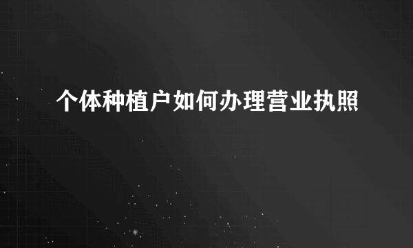 个体种植户如何办理营业执照