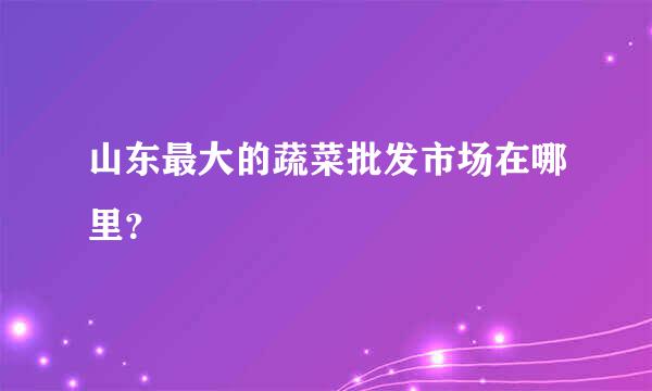 山东最大的蔬菜批发市场在哪里？