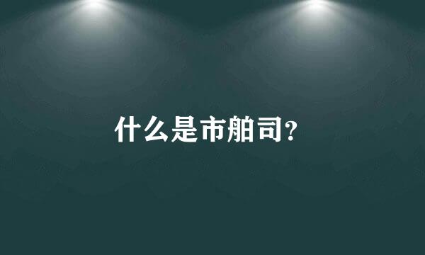 什么是市舶司？