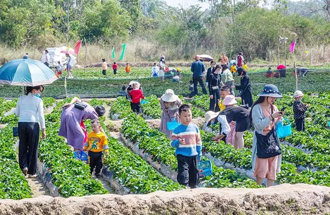 国庆假期4.22亿人次出游，露营蹿红！国庆假期哪里游客最多？