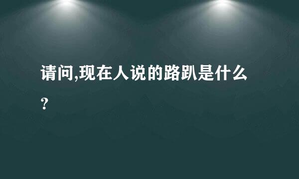 请问,现在人说的路趴是什么？