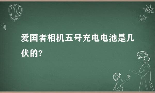 爱国者相机五号充电电池是几伏的?