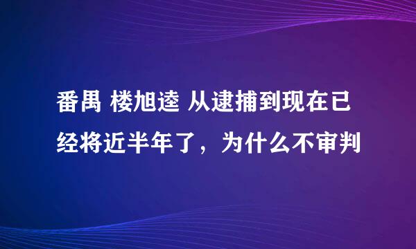 番禺 楼旭逵 从逮捕到现在已经将近半年了，为什么不审判