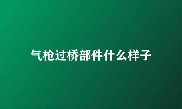 气枪过桥部件什么样子