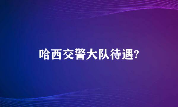 哈西交警大队待遇?