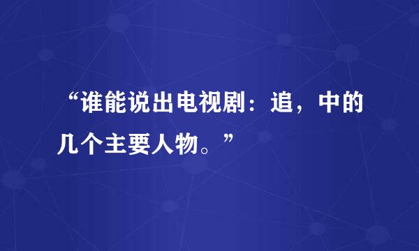 “谁能说出电视剧：追，中的几个主要人物。”