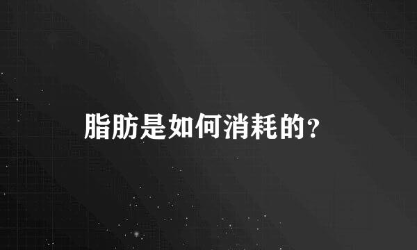 脂肪是如何消耗的？