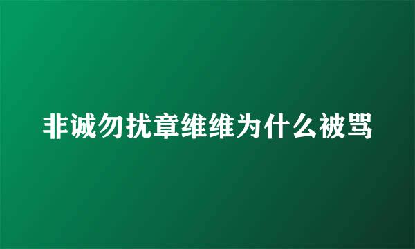 非诚勿扰章维维为什么被骂