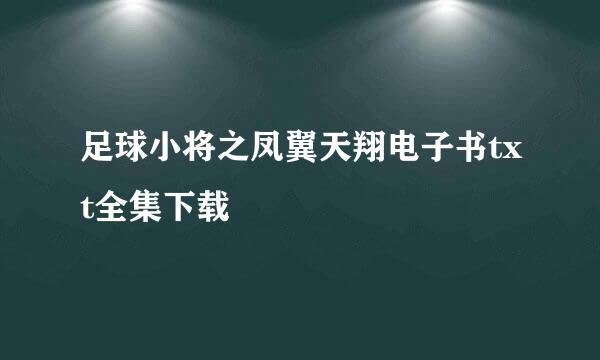 足球小将之凤翼天翔电子书txt全集下载